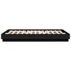 vidaXL Bed Frame with LED without Mattress Black 120x200 cm