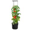 Product Thumbnail Image 2 of 6