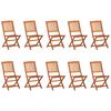 vidaXL 11 Piece Garden Dining Set 280x90x75 cm Solid Wood Acacia