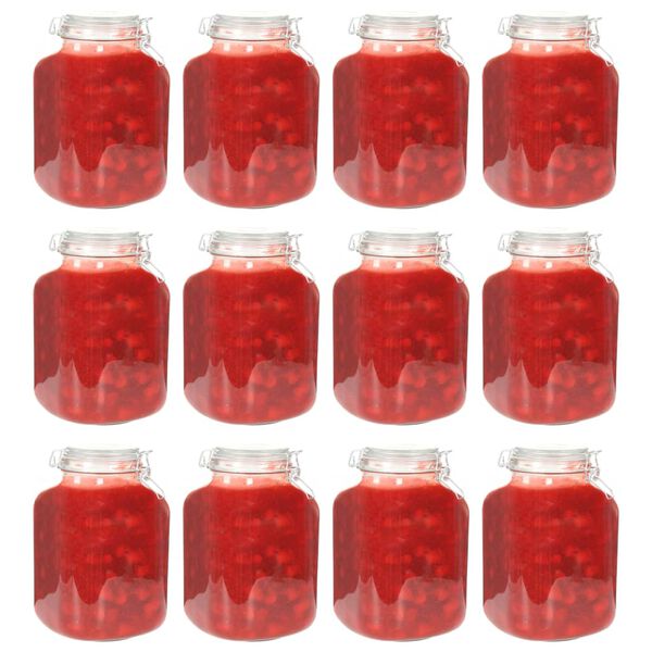 vidaXL Glass Jam Jars with Lock 12 pcs 5 L