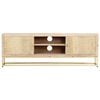 vidaXL TV Cabinet Gold 120x30x40 cm Solid Mango Wood
