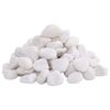 vidaXL Polished Pebbles 25 kg White 2-5 cm