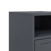 vidaXL Bedside Cabinets 2 pcs Anthracite 36x39x59 cm Steel