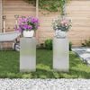 vidaXL Plant Stand 2 pcs Silver 24 x 24 x 55 cm Stainless steel