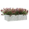 Product Thumbnail Image 3 of 8