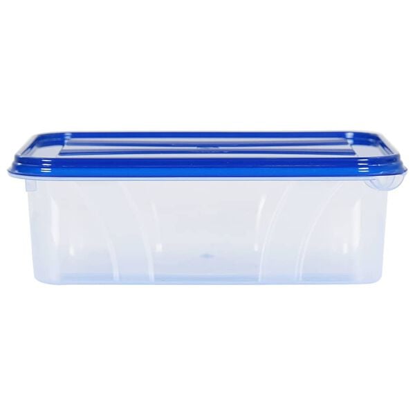 vidaXL Food Storage Containers with Lids 10 pcs PP