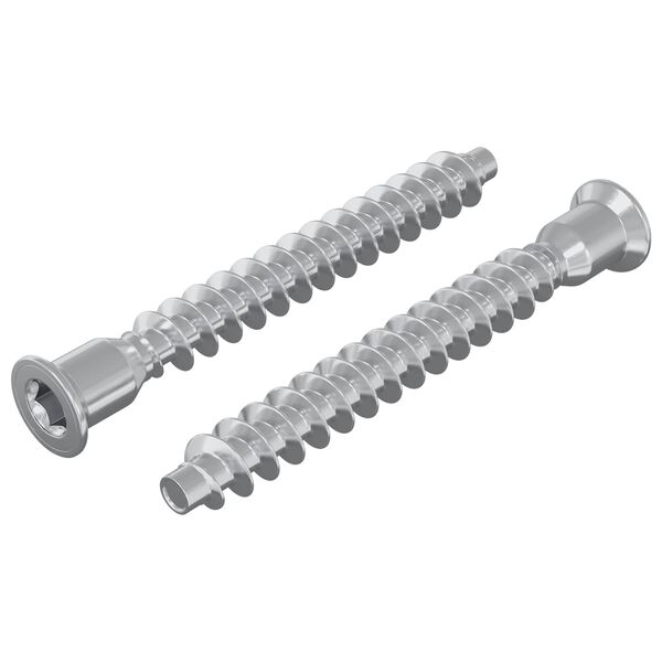 vidaXL Confirmat Screws 2 pcs Silver &Oslash;7 x 58 mm Metal
