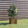 Product Thumbnail Image 2 of 8