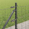 Product Thumbnail Image 5 of 17