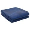 vidaXL Tent Carpet Blue 200 x 200 cm Polyester