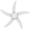 Product Thumbnail Image 6 of 12