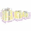 vidaXL Gift Box with 60 LEDs 3 pcs Warm white 20 x 20 x 20 cm PET