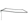 vidaXL Awning Manual Anthracite 6 x 3 m Metal
