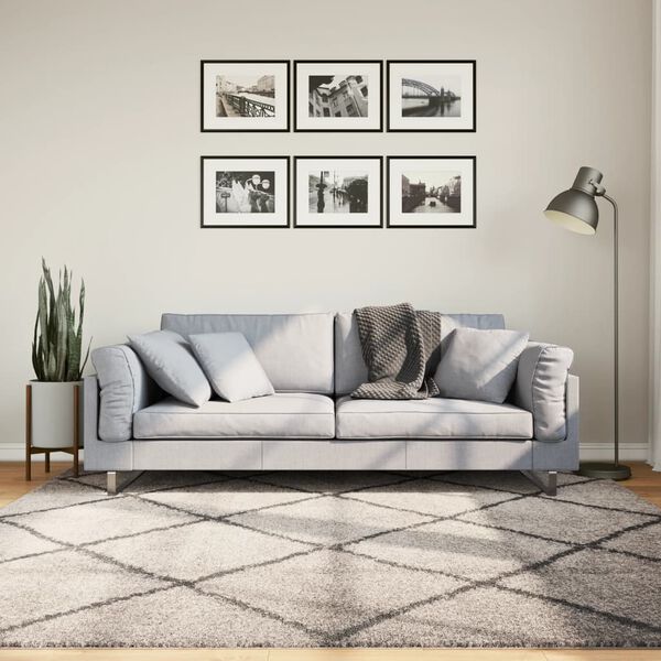 vidaXL Shaggy Rug PAMPLONA High Pile Modern Beige and Anthracite 200x200 cm