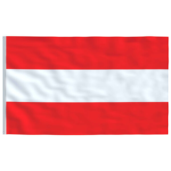 vidaXL Austria Flag and Pole 6.23 m Aluminium