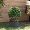 Product Thumbnail Image 2 of 9