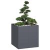 Product Thumbnail Image 2 of 9
