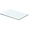 vidaXL Glass Panel | Clear | Tempered glass | 40x20 cm | Glass surface