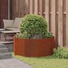 vidaXL Planter Rusty 120 x 120 x 50 cm Weathering Steel