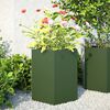 Product Thumbnail Image 2 of 13