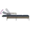 vidaXL | Sun Lounger | Reclining Grey 63 x 200 x 81 cm Poly rattan