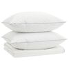vidaXL 90% Goose Down Duvet Set FULDA 3 pcs 135 x 220 cm Summer White