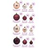 vidaXL Christmas Baubles 100 pcs Champagne and Dark Brown &Oslash;3/4/6 cm