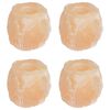 vidaXL Salt Stone Tealight Holders 4 pcs Pink Rock Salt