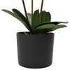 Product Thumbnail Image 2 of 4
