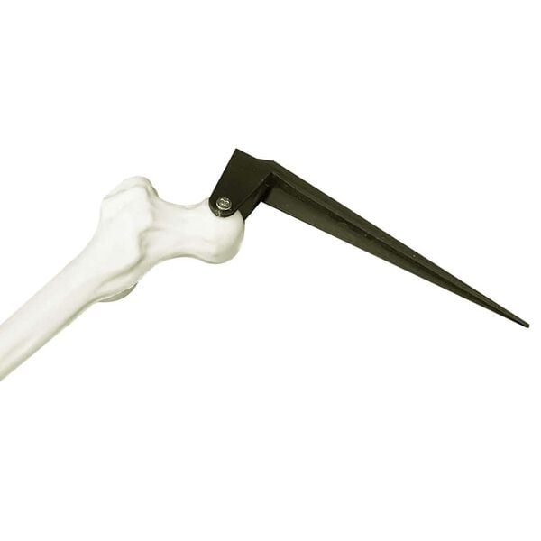 Showing Product Image 4 of 7