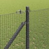 Product Thumbnail Image 4 of 17