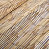 Product Thumbnail Image 5 of 6