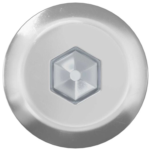 vidaXL Furniture Screws 12 pcs Silver M6 x 120 mm Steel