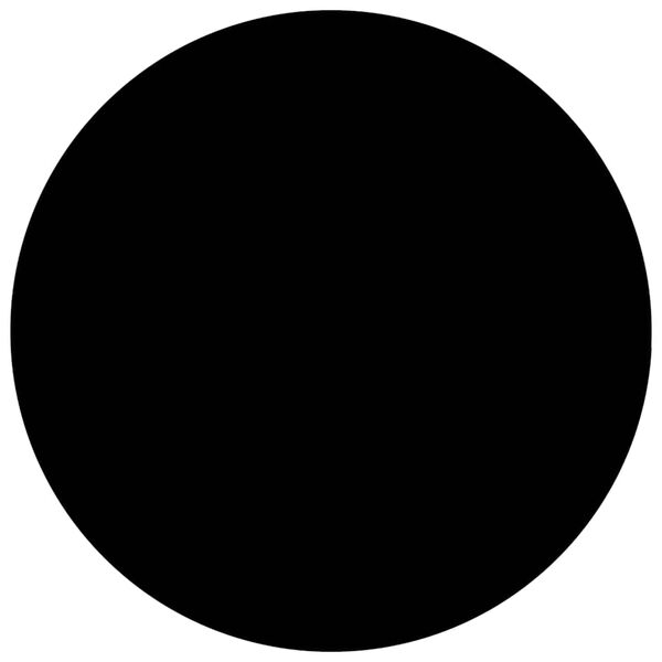 vidaXL Pool Cover Black 300 cm PE