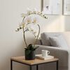 Product Thumbnail Image 2 of 5