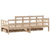 vidaXL Daybed with Drawers without Mattress 80x200 cm Solid Wood