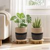 Product Thumbnail Image 2 of 6