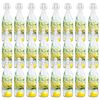 vidaXL Glass Bottles with Clip Closure 24 pcs 1 L
