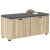 vidaXL Hall Bench with Cushion with Door Sonoma Oak 100 x 38 x 46 cm