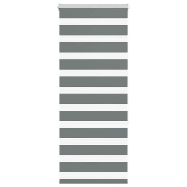 vidaXL Zebra Blind Dark Grey 60x150 cm Fabric Width 55.9 cm Polyester