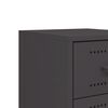 vidaXL Bedside Cabinets 2 pcs Black 36x39x60.5 cm Steel