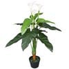 vidaXL Artificial Plant | White, Green