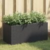 Product Thumbnail Image 2 of 11