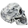 Product Thumbnail Image 4 of 8