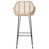 vidaXL Bar Chair 2 pcs Natural 55 x 52 x 105 cm Rattan and Iron