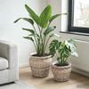 Product Thumbnail Image 2 of 9