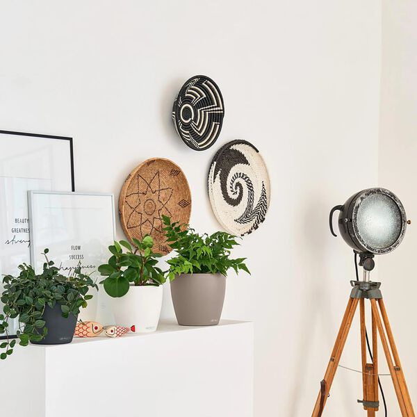 LECHUZA Planter CLASSICO Color 18 ALL-IN-ONE Slate