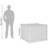 Product Thumbnail Image 13 of 13