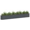 Product Thumbnail Image 3 of 8