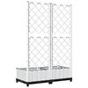 Product Thumbnail Image 6 of 8